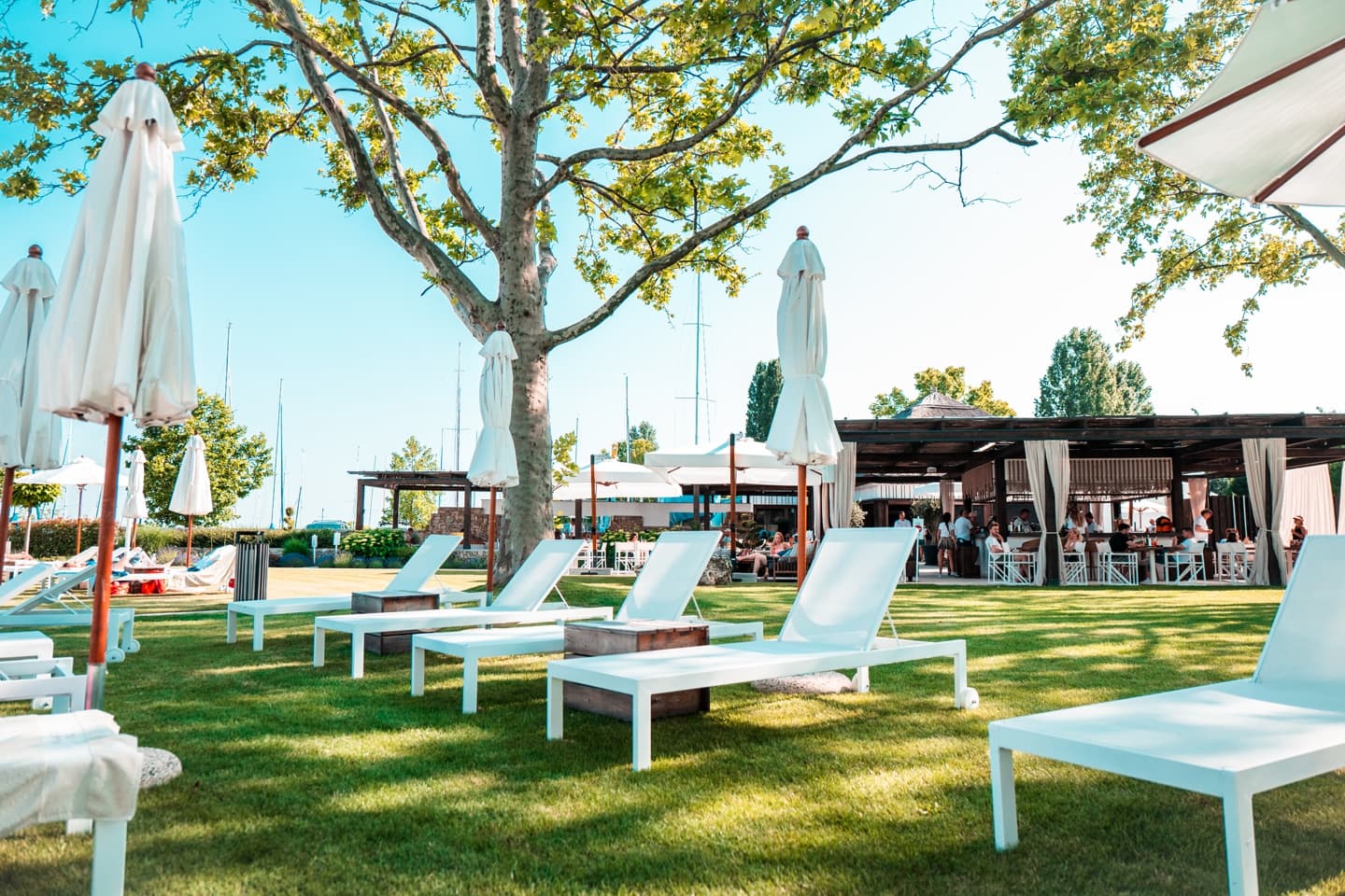 Weiße Sonnenliegen auf einer Wiese unter Bäumen in einem luxuriösen Strandclub am Yachthafen.